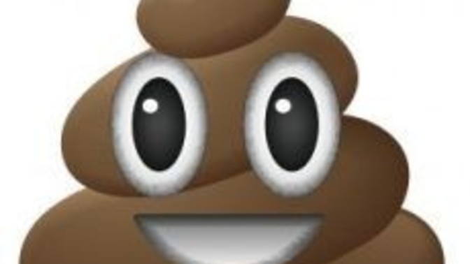 Have you ever clogged the toilet?