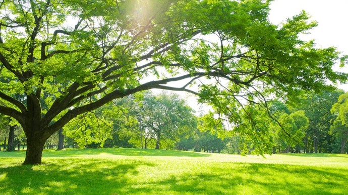 What is your favorite season?