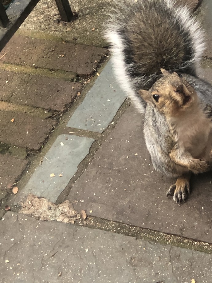 What photo here is best?