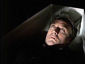 Who do you recommend I call to take care of my vampire problem?