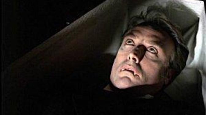 Who do you recommend I call to take care of my vampire problem?