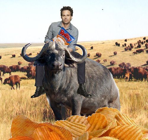 What would you do if you saw mark Ruffalo eating ruffles on a buffalo?