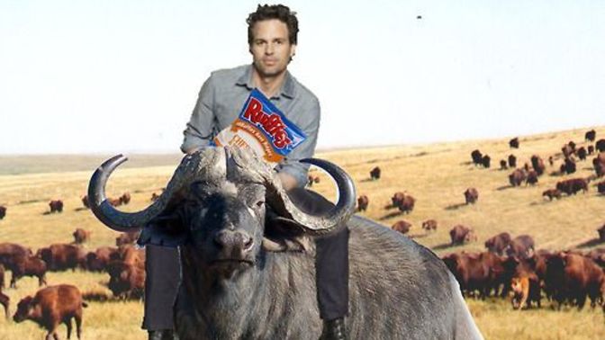 What would you do if you saw mark Ruffalo eating ruffles on a buffalo?