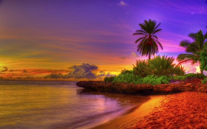 What do you do if you want to spend your weekend at a beach hotel?