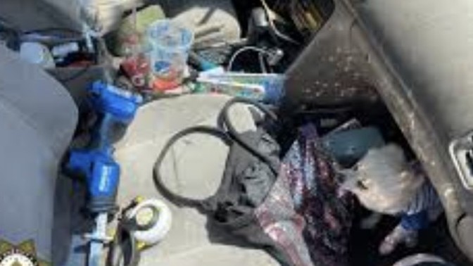 Why girls cars are always messy and dirty?