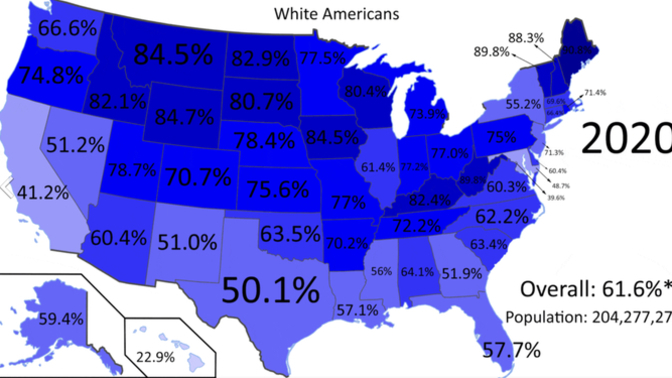 In 20 years all whites will be just another minority. How do feel?