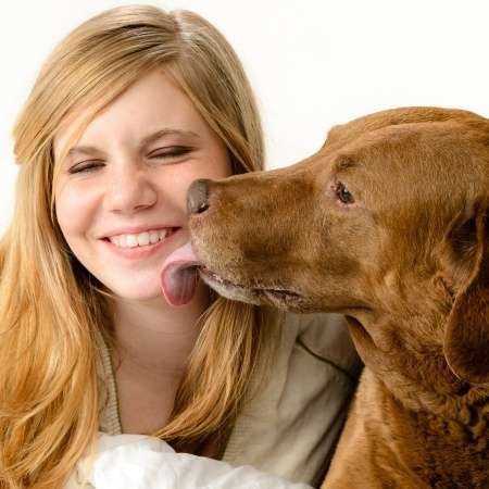 Who is more loyal in this days dogs or girls?
