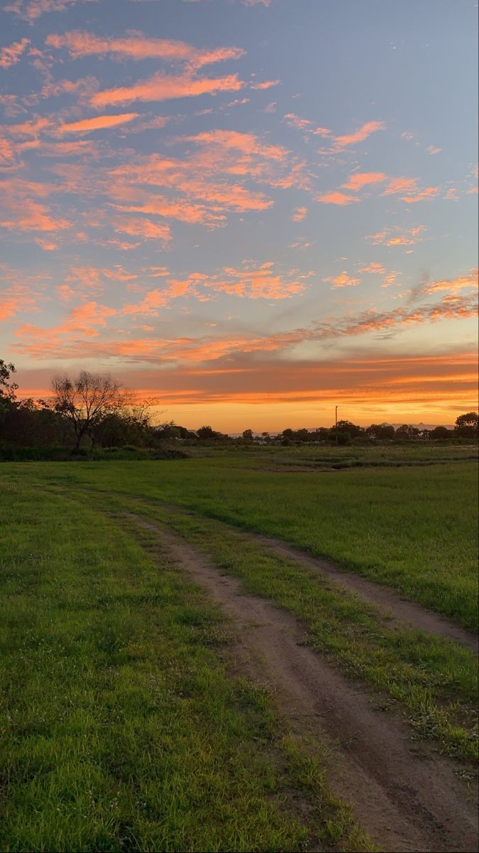 Do you like pretty skies?