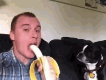 How do you act when you come across an animal?