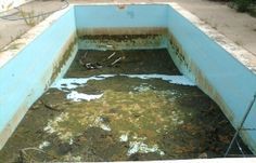 What does your dating pool look like at your age?