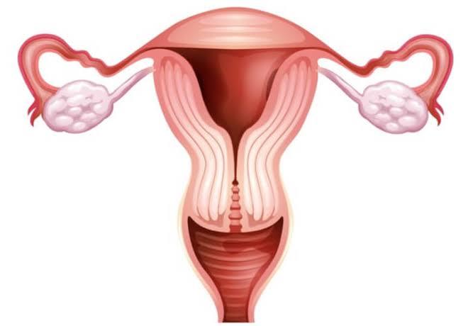 Did you know that women with one fallopian tube still ovulate from each side?