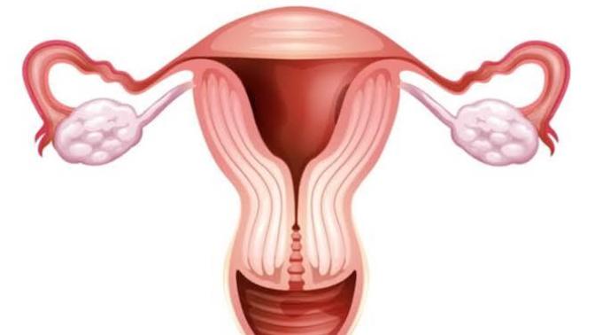 Did you know that women with one fallopian tube still ovulate from each side?