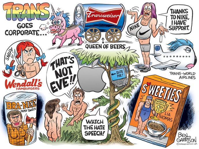 Do You APPROVE Or DISAPPROVE of Corporations Advertising Their Products and Services With Transgender Representatives?