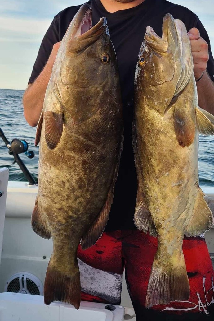 Have you ever gone fishing?