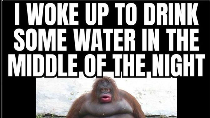 Do you ever overeat at night?
