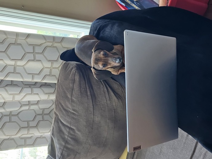 Do You Have Any Pets?