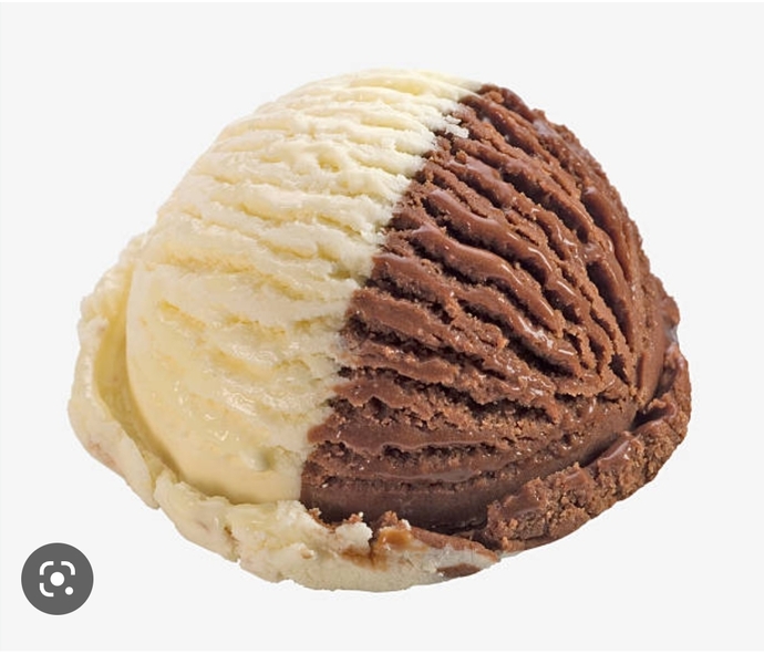Chocolate or Vanilla icecream?