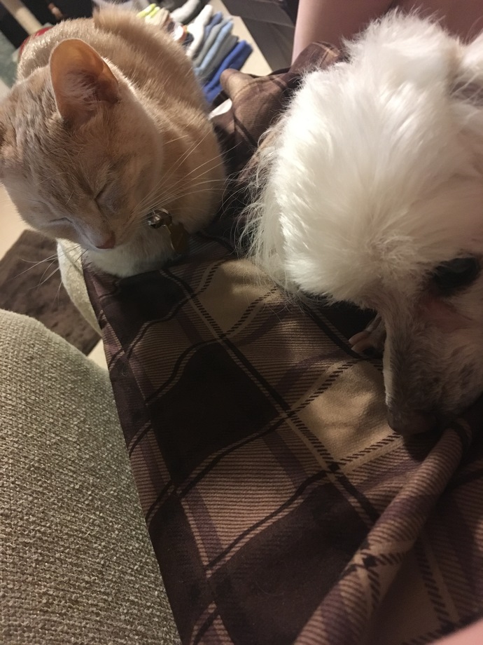 Here’s an old photo of them together.