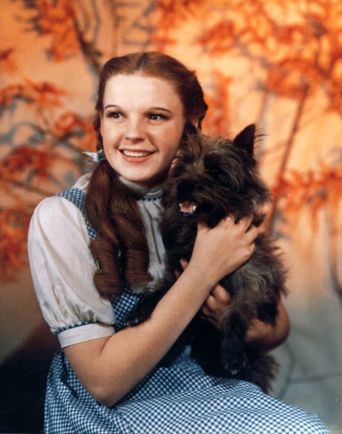 Which Dorothy did you like in The Wizard of Oz or The Wiz?