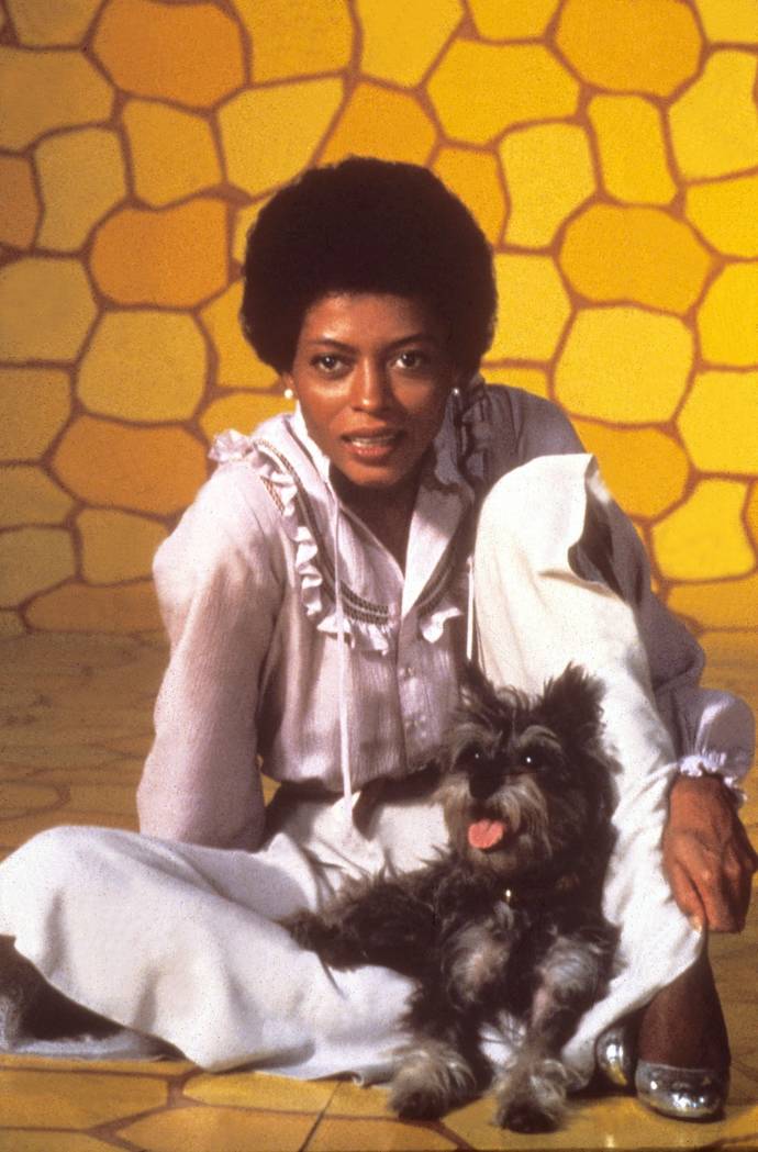 Which Dorothy did you like in The Wizard of Oz or The Wiz?