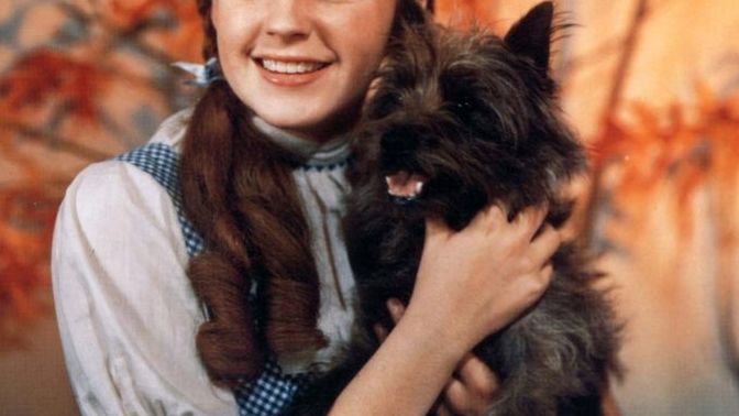 Which Dorothy did you like in The Wizard of Oz or The Wiz?