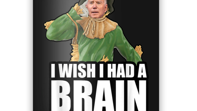 Guys, Why Biden? Seriously, why did you people vote for Joe? Is a brain-dead Democrat the best you got?