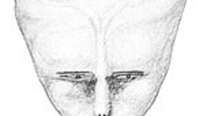 Could the gods of the bible be aliens?