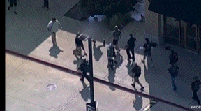 So nine Texans dead because someone wanted suicide by cop. And we can’t do anything about it?