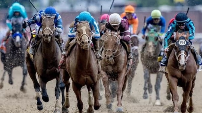 Seven horses die this weekend at Kentucky Derby. Doesn't anyone see something suspicious here?