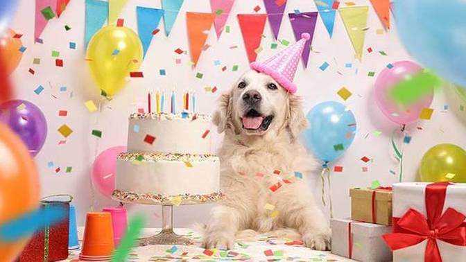 Do you celebrate your pets birthdays?
