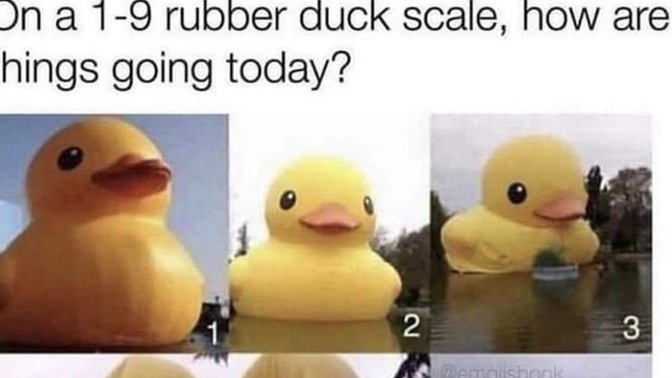 On a rubber duck scale 1-10, how are things going with you today 🤣 ?