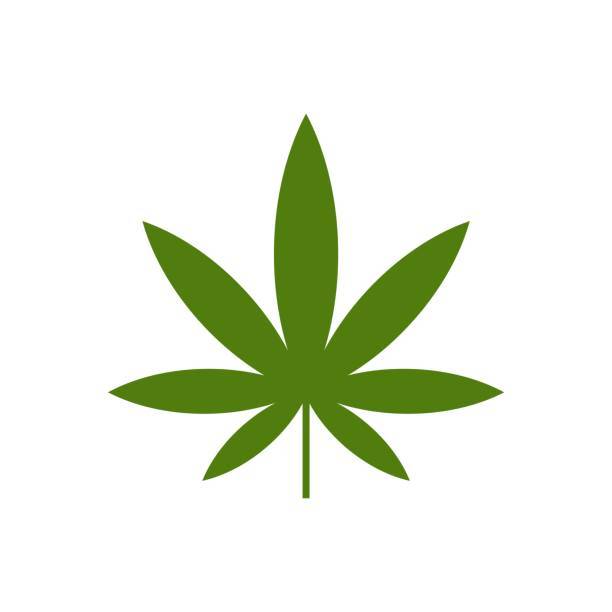 If you had to cut out alcohol or weed for the rest of your life, which would you choose?