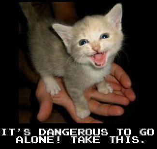 Its dangerous to go alone take this _______. Name an object this hero should take?