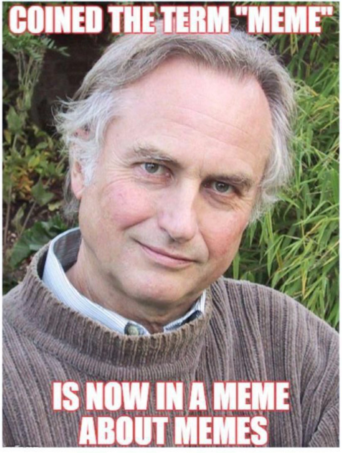 When you hear the word meme what is the first thing that comes to your mind?