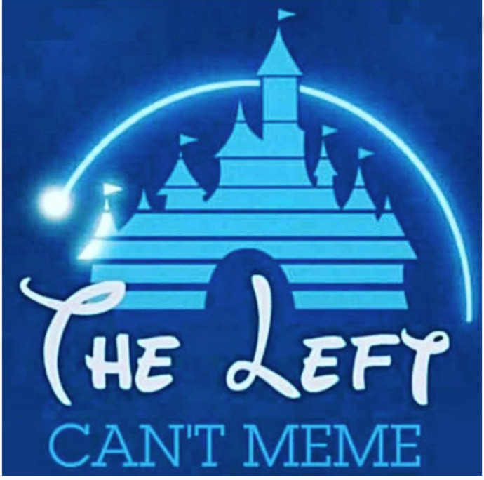 When you hear the word meme what is the first thing that comes to your mind?