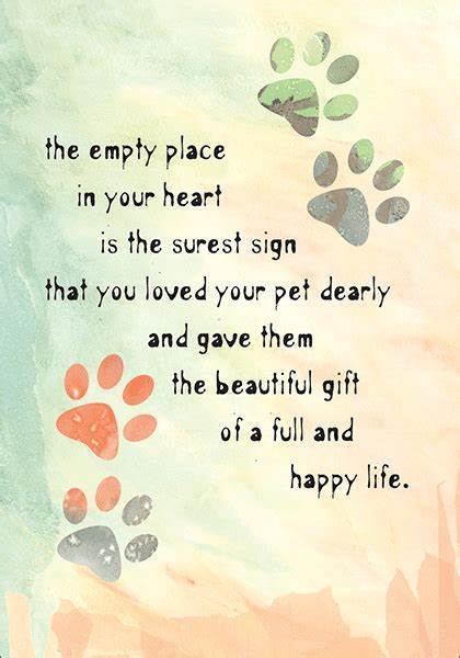 Did you have a tough time adopting a new 'companion' animal after losing one you had long term?