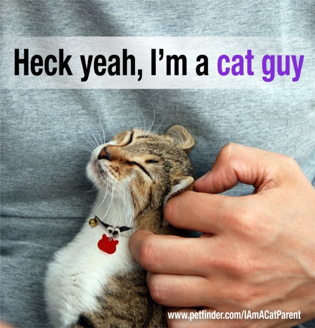 Which do you like better as a pet cats or dogs?