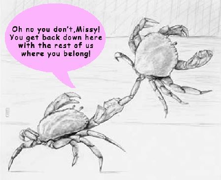 oh crab