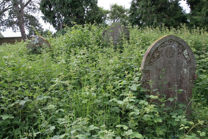 Would the threat of nettles on your grace encourage you to try harder at dating?