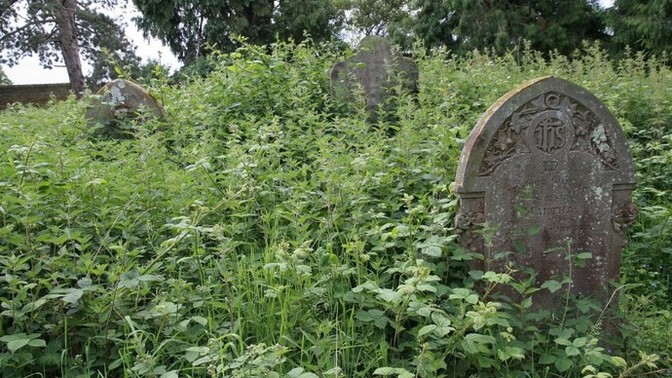 Would the threat of nettles on your grace encourage you to try harder at dating?