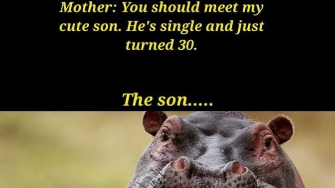 Has someone tried to match make you with their son/daughter because they think you’re a great catch?