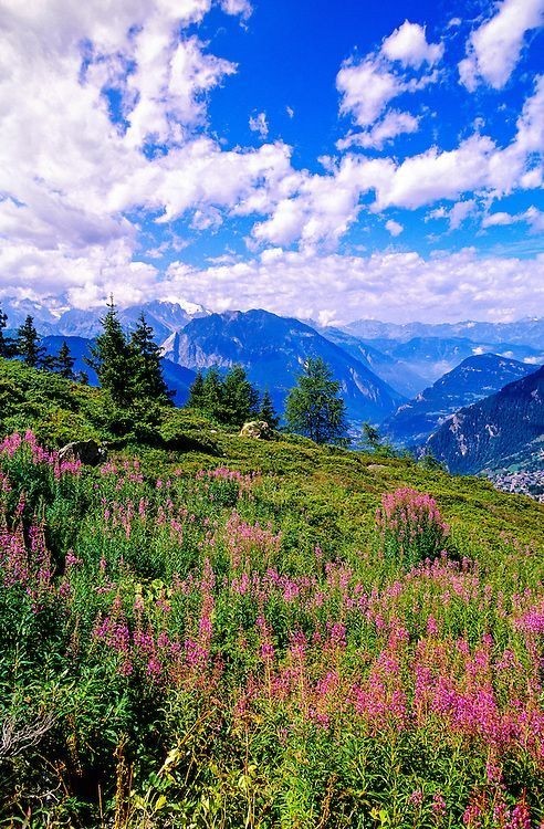 What is your idea of a perfect romantic holiday? Why?