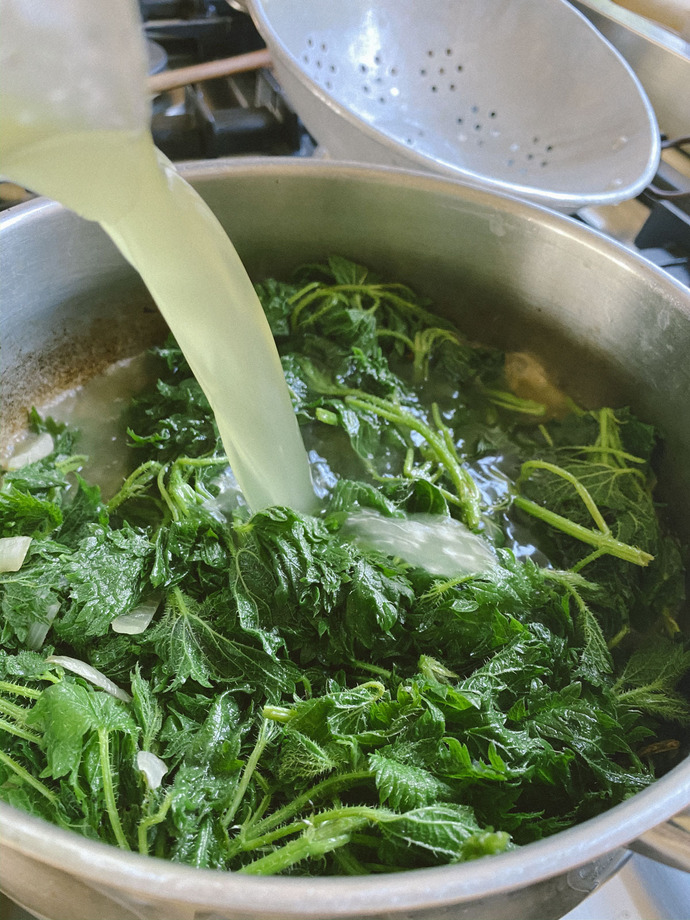 Would you eat Foraged Nettle Soup?