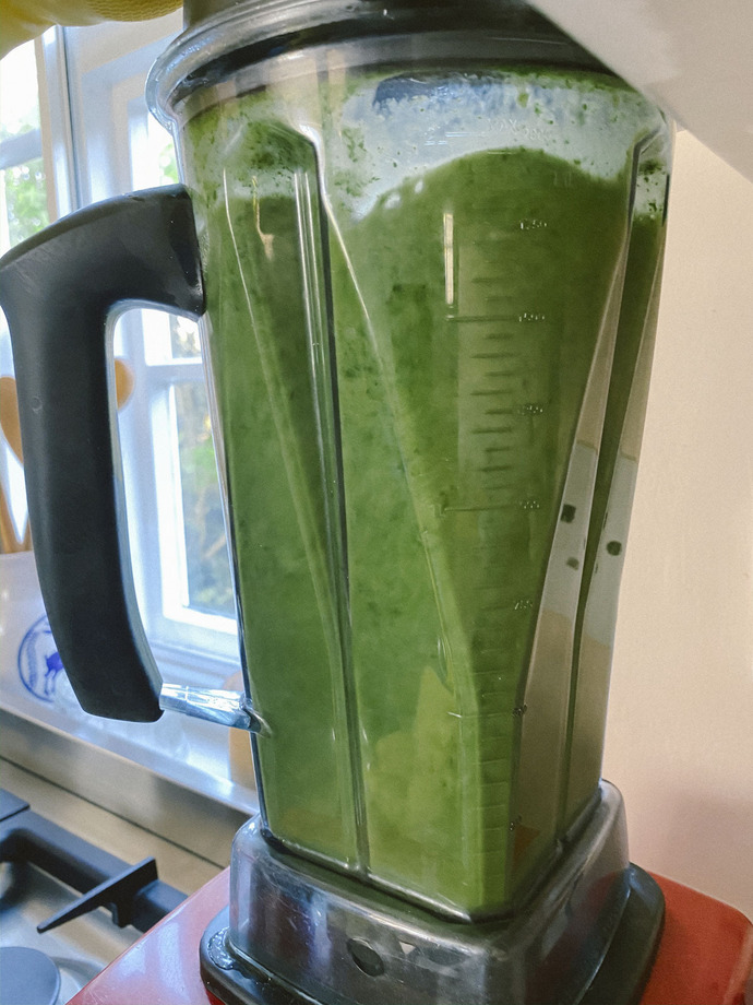 Would you eat Foraged Nettle Soup?