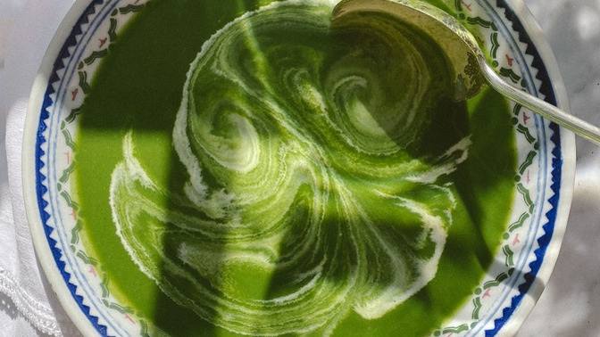 Would you eat Foraged Nettle Soup?