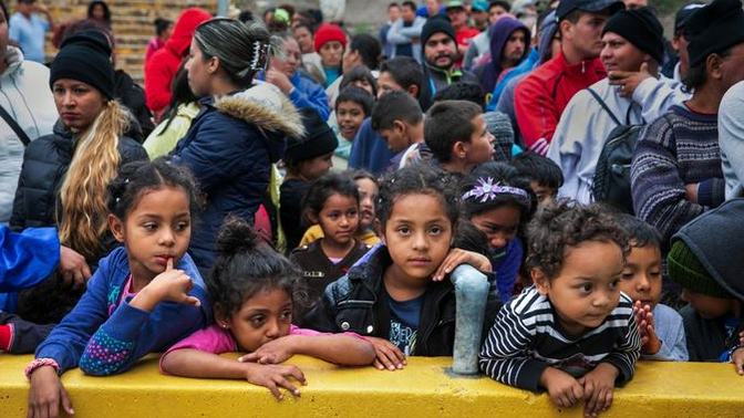 How would you like undocumented immigrants treated by persons?