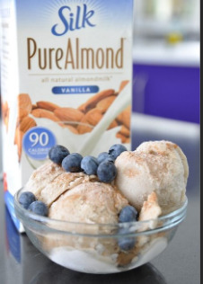 Have you ever had non dairy ice cream?