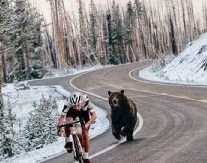 When It Comes To Riding A Bike All You Need Is A Little MOTIVATION!