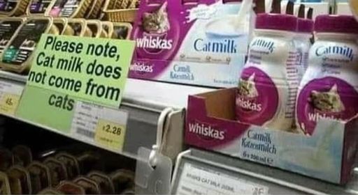 Did you know cat milk doesnt actually come from cats?