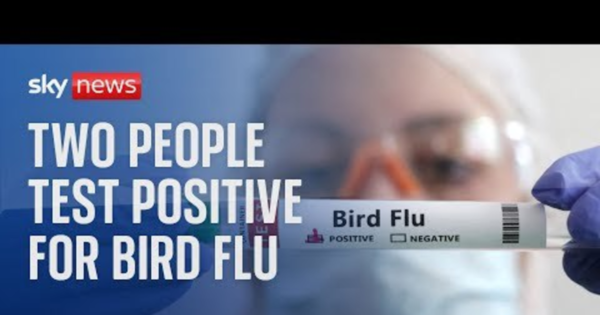 Bird flu could become the next human pandemic? - GirlsAskGuys
